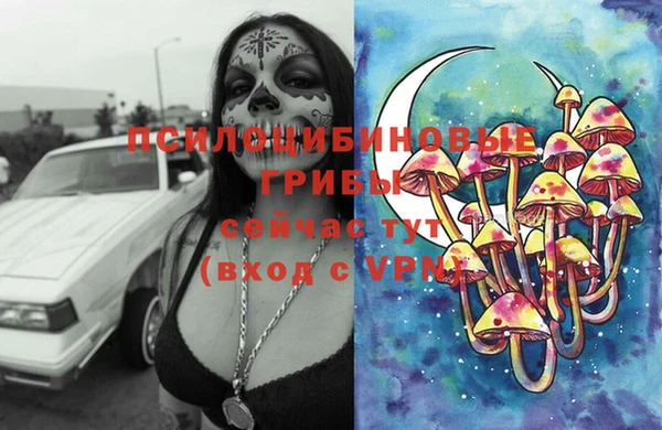 гидропоника Аркадак