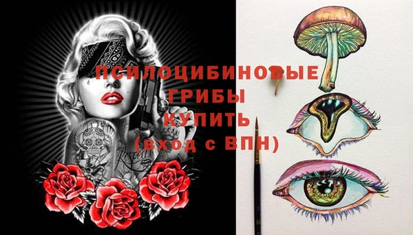 гидропоника Аркадак