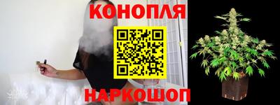 индика Заводоуковск