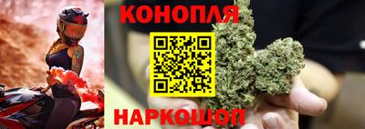 ГАЛЛЮЦИНОГЕННЫЕ ГРИБЫ Заволжье