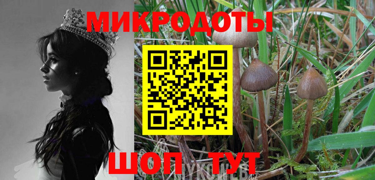 Галлюциногенные грибы мухоморы  Вход с VPN  Глазов 