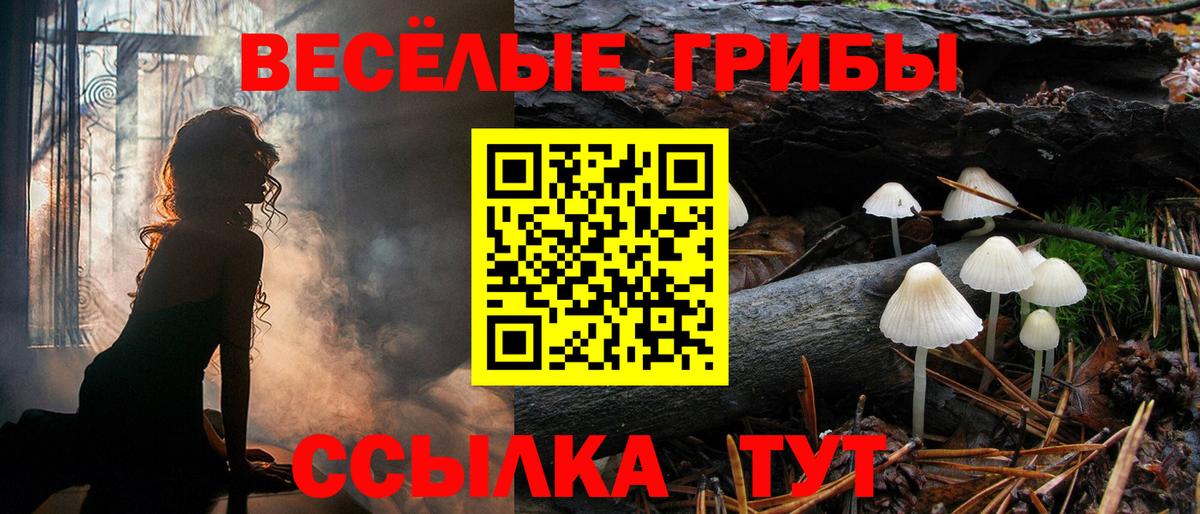 Галлюциногенные грибы мухоморы Глазов